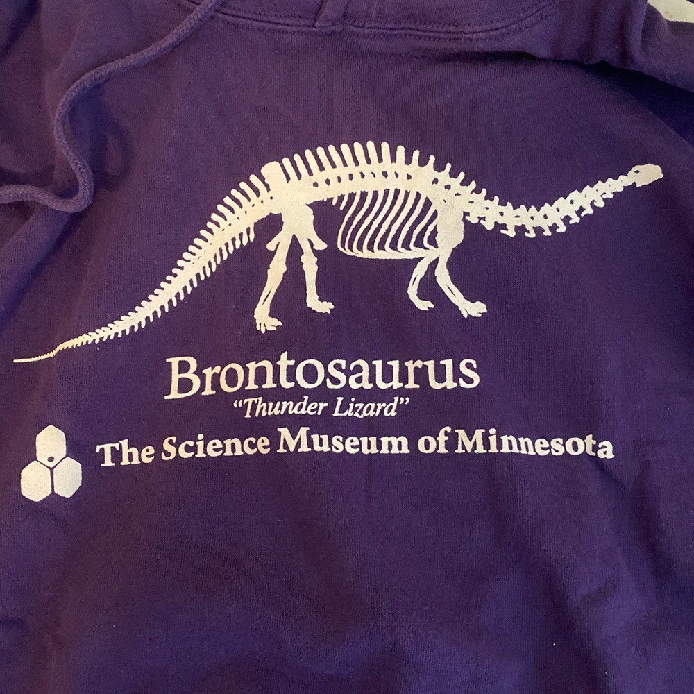 Stranger Things Purple Minnesota Hoodie